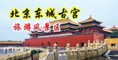 高潮迭起淫水中国北京-东城古宫旅游风景区
